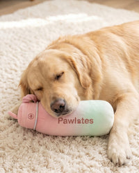 Pawlates Princess Water Bottle Plush Squeaky Dog Toy