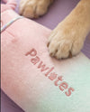 Pawlates Princess Water Bottle Plush Squeaky Dog Toy