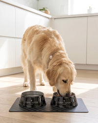 Haute Diggity Dog Bowls & Placemats Black Checker Chewy Vuiton Placemat
