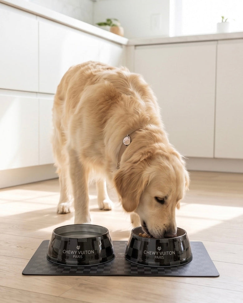 Black Checker Chewy Stylish Pet Bowl - Size Medium