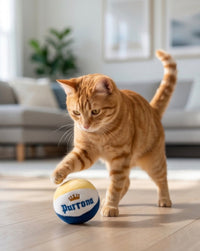 Purrona (Bottle & Ball) Cat Toy Set - 2 Pc