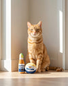 Purrona (Bottle & Ball) Cat Toy Set - 2 Pc