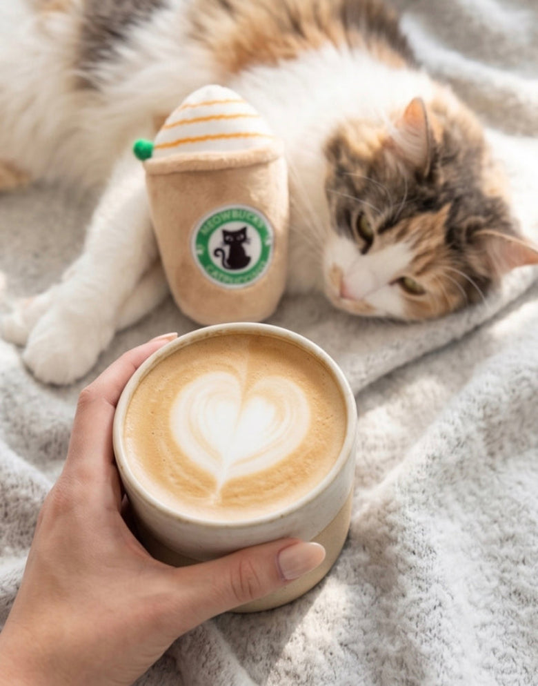 Meowbucks Coffee Cups Cat Toy Set - 2 Pc