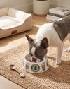 Starbarks Coffee Theme Dog Bowl