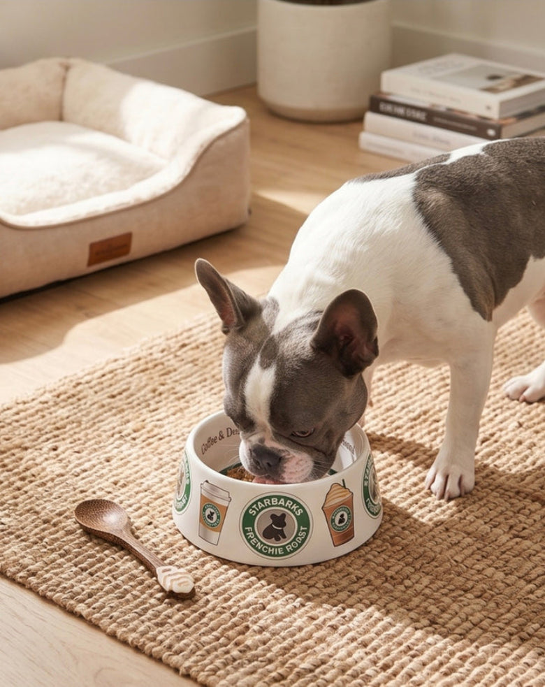 Starbarks Coffee Theme Dog Bowl