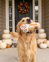 Dog holding a toy with 'Pupkin' branding dog toy on a porch decorated for Halloween.
