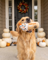 Dog holding a toy with 'Pupkin' branding dog toy on a porch decorated for Halloween.