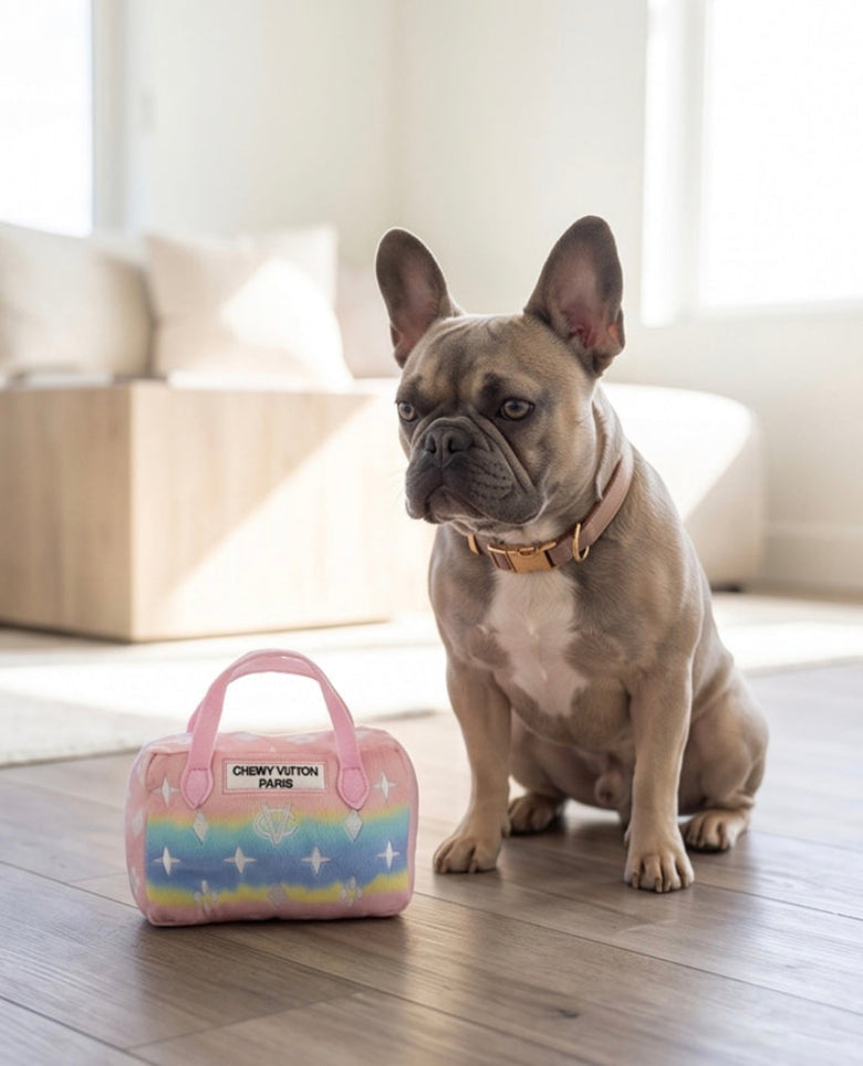Pink Ombre Chewy Handbag Plush Squeaky Dog Toy - 2 Sizes
