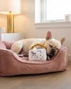 White Chewy Handbag Plush Squeaky Dog Toy - 3 Sizes