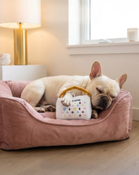 White Chewy Handbag Plush Squeaky Dog Toy - 3 Sizes