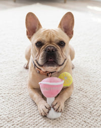 Cosmuttpolitan with Lemon Plush Squeaker Dog Toy