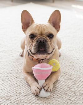 Cosmuttpolitan with Lemon Plush Squeaker Dog Toy