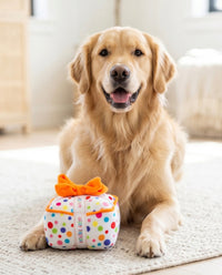 Happy Birthday Gift Box Colorful Dots Plush Squeaky Dog Toy