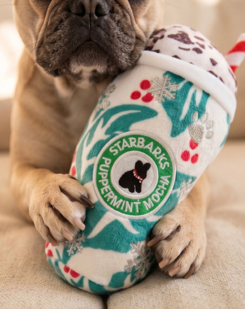 Starbarks Puppermint Mocha Holly Print Cup Christmas Holiday Plush Squeaky Dog Toy