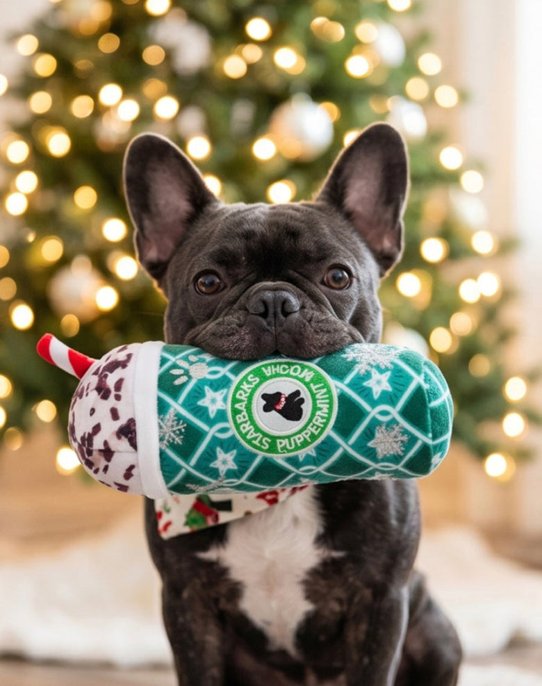 Starbarks Puppermint Mocha Green Stars Cup Christmas Holiday Plush Squeaky Dog Toy