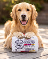 White Paw Grrriety Pack Interactive Activity House Dog Toy Set - 4 Pc