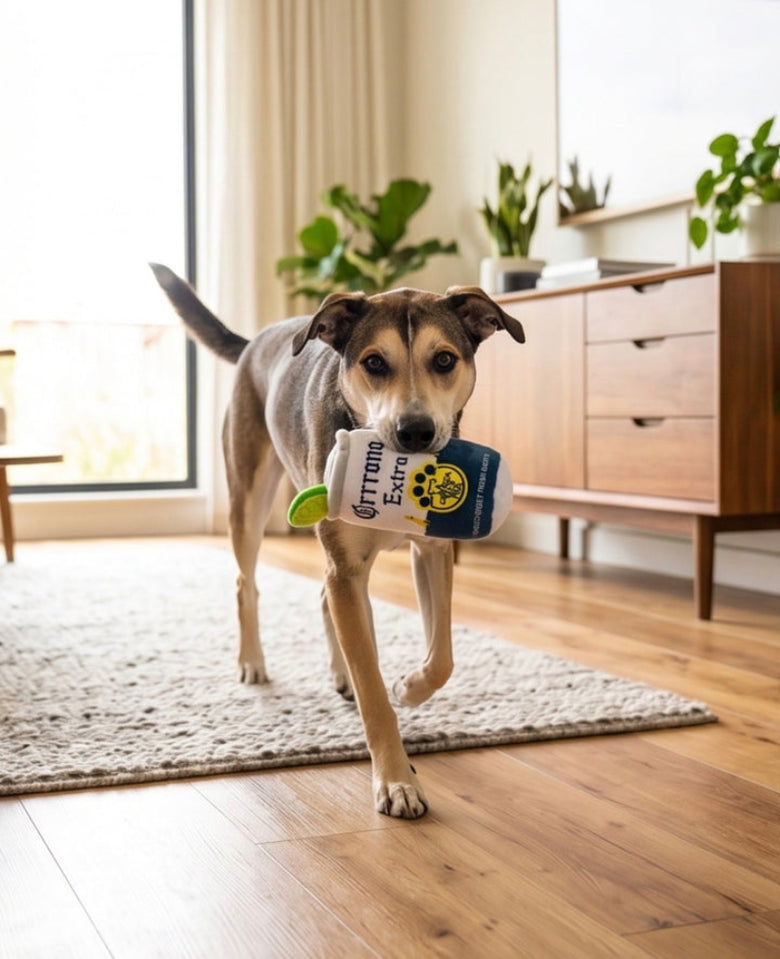 Grrrona Extra Can with Cute Garnish Plush Squeaky Dog Toy