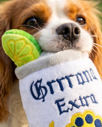 Grrrona Extra Can with Cute Garnish Plush Squeaky Dog Toy