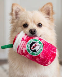 Starbarks Red Ruffresher Plush Squeaky Dog Toy