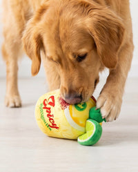 Spicy Muttgarita with Lime Plush Squeaky Dog Toy