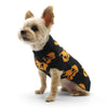 DogoPet.com Sweater Jack O Lantern Sweater