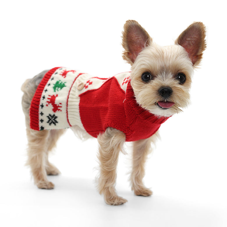 Jolly Christmas Theme Holiday Red Dog Sweater Dress