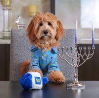 Hanukkah Holiday Season Talking Dreidel Plush Dog Toy