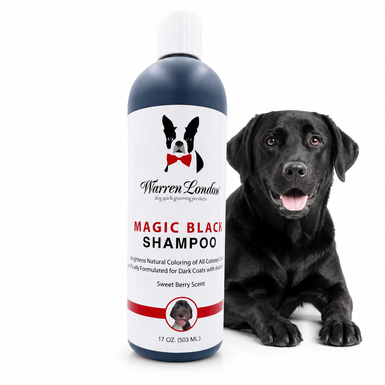 Warren London Pet Shampoo & Conditioner Magic Black Brightening Dog Shampoo