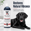 Warren London Pet Shampoo & Conditioner Magic Black Brightening Dog Shampoo