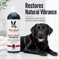 Warren London Pet Shampoo & Conditioner Magic Black Brightening Dog Shampoo