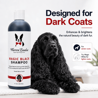 Warren London Pet Shampoo & Conditioner Magic Black Brightening Dog Shampoo