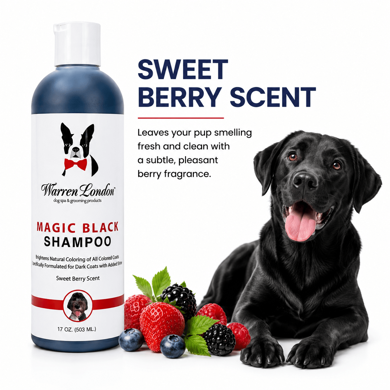 Warren London Pet Shampoo & Conditioner Magic Black Brightening Dog Shampoo