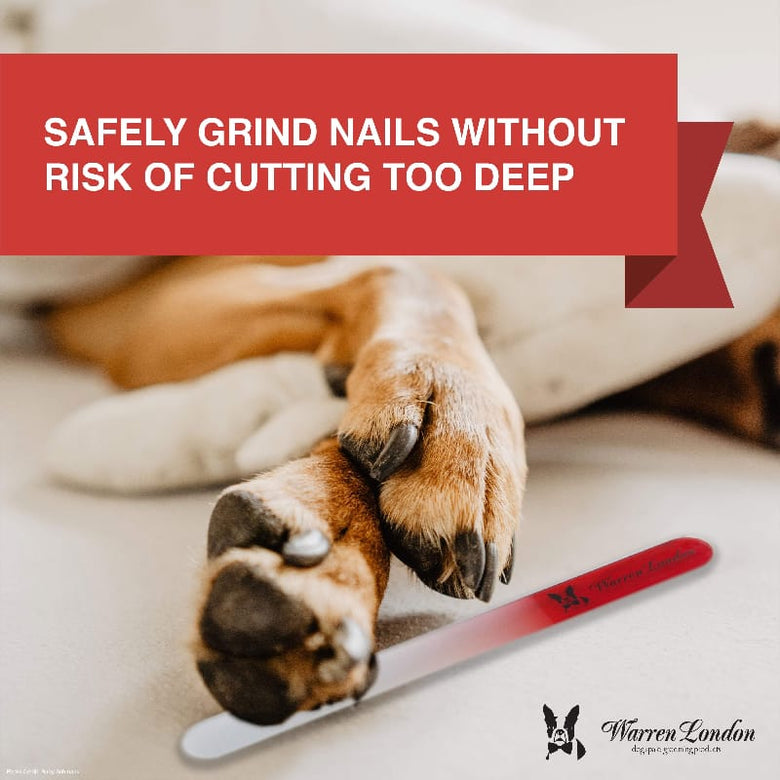 Warren London Spa Product Glass Nail File for Dogs