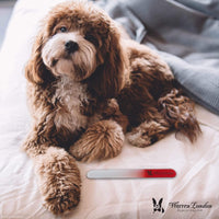Warren London Spa Product Glass Nail File for Dogs