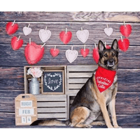 Hunter K9 Bandanas Official Valentine Cutie Red Dog Bandana