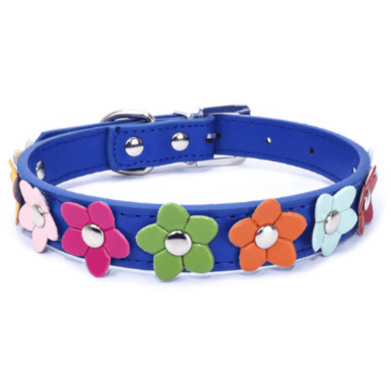 AE-SHOP1102 COLLARS RyBl / XS Beautiful Spring Flowers Dog Collars - Multiple Colors