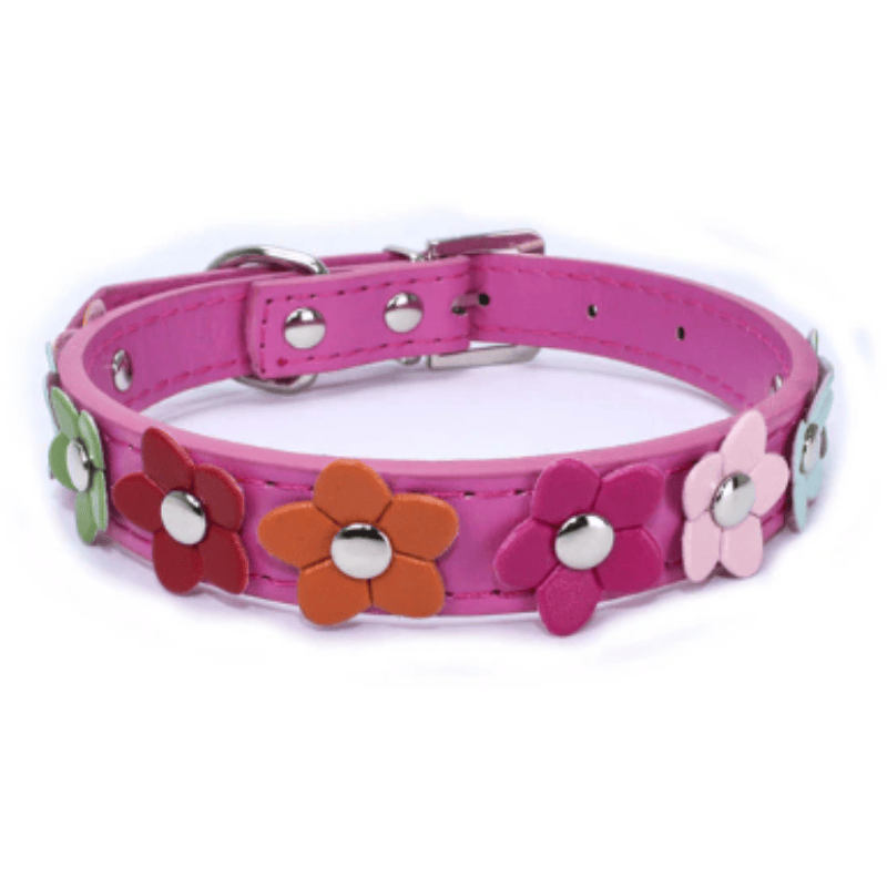 AE-SHOP1102 COLLARS Beautiful Spring Flowers Dog Collars - Multiple Colors