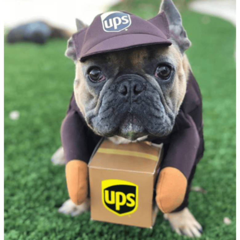 AE - XLMS dog apparel M UPS Pet Costume - Only Size M available
