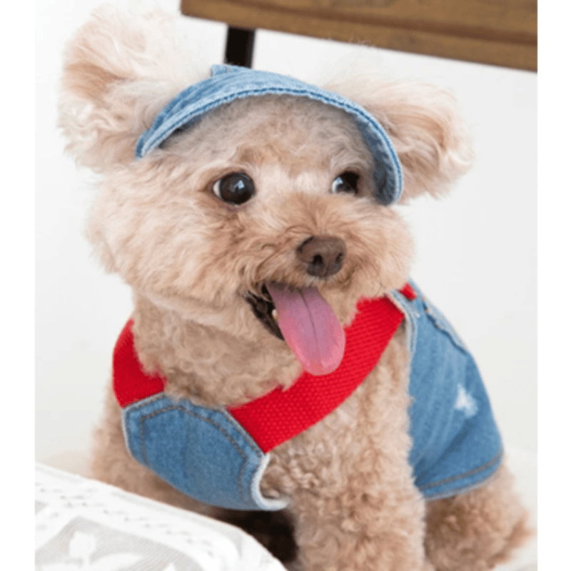 AE-GOUGOU Hats Denim Pet Cap