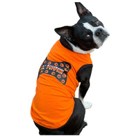 Lil Pumpkin Pet Tank
