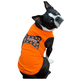 Lil Pumpkin Pet Tank