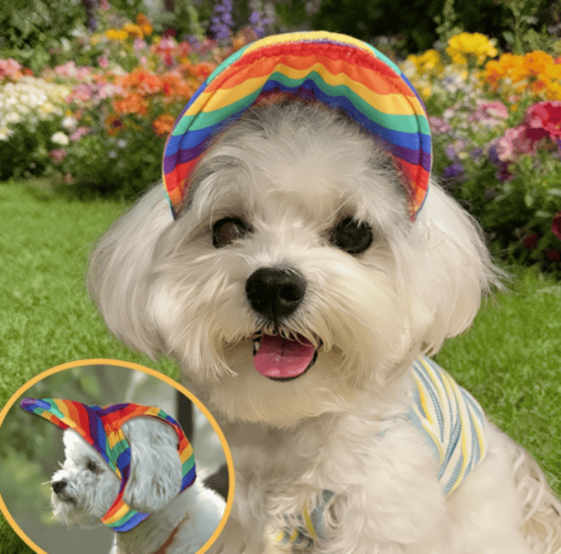 AE Hats SM Rainbow Striped Colorful Lightweight Pet Sun Cap - 3 Sizes