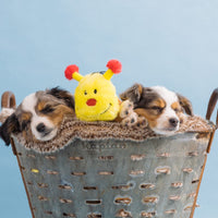 Caterpillar Deluxe Colorful Plush Squeaky Dog Toy