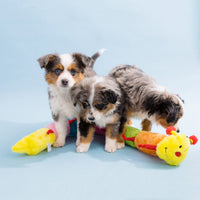 Caterpillar Deluxe Colorful Plush Squeaky Dog Toy