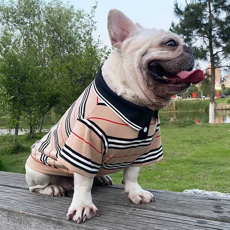 AE-MPS Dog Apparel XS Tan Stripe Polo Dog Shirt