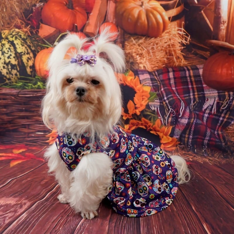 AE-FANTASYH&G dog apparel Halloween Day Of The Dead Skull Dog Dress