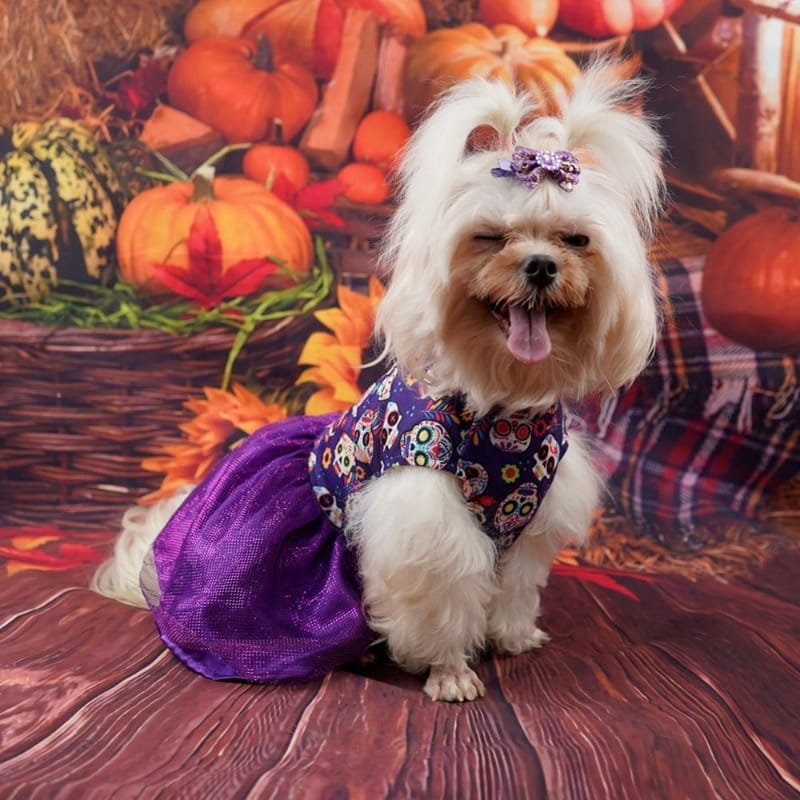 AE-FANTASYH&G dog apparel Halloween Day Of The Dead Skull Dog Dress with Purple Tulle Bottom