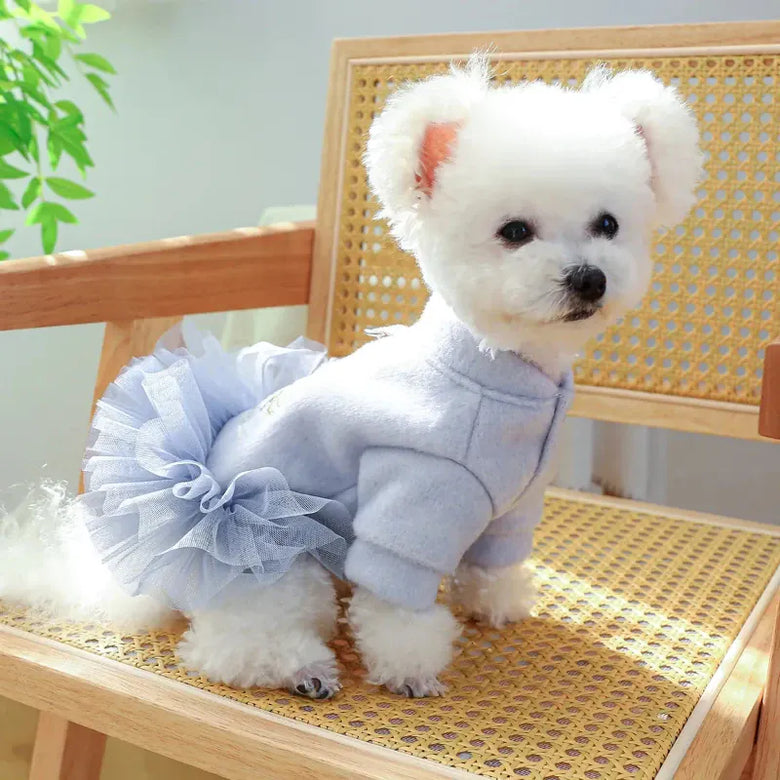 AE - PETCIRCLE dog apparel Crown Princess Embroidered Tutu Pet Dress