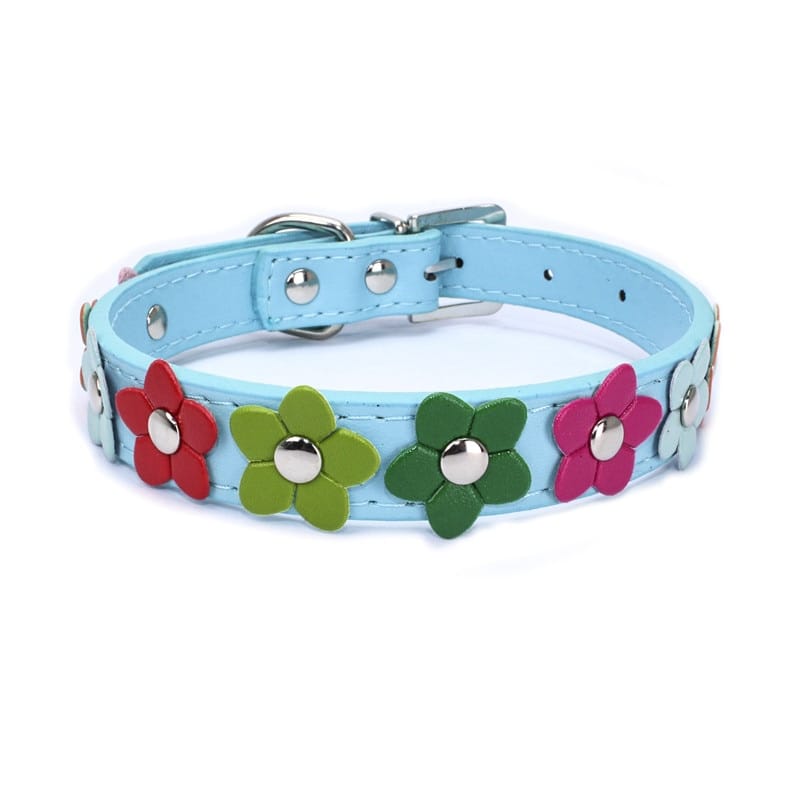 AE-SHOP1102 COLLARS LtBl / XS Beautiful Spring Flowers Dog Collars - Multiple Colors