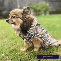 The Worthy Dog Jackets Tan Plaid London Dog Raincoat